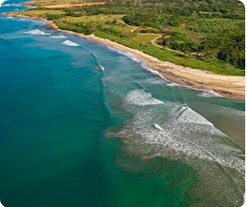 avellanas-guanacaste