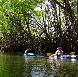 kayaking