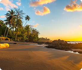 tamarindo