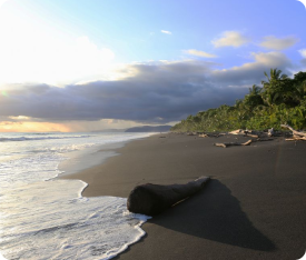 playa-negra-costa-rica